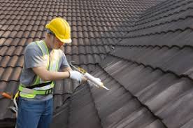 Best Roof Moss and Algae Removal  in Jackson, LA